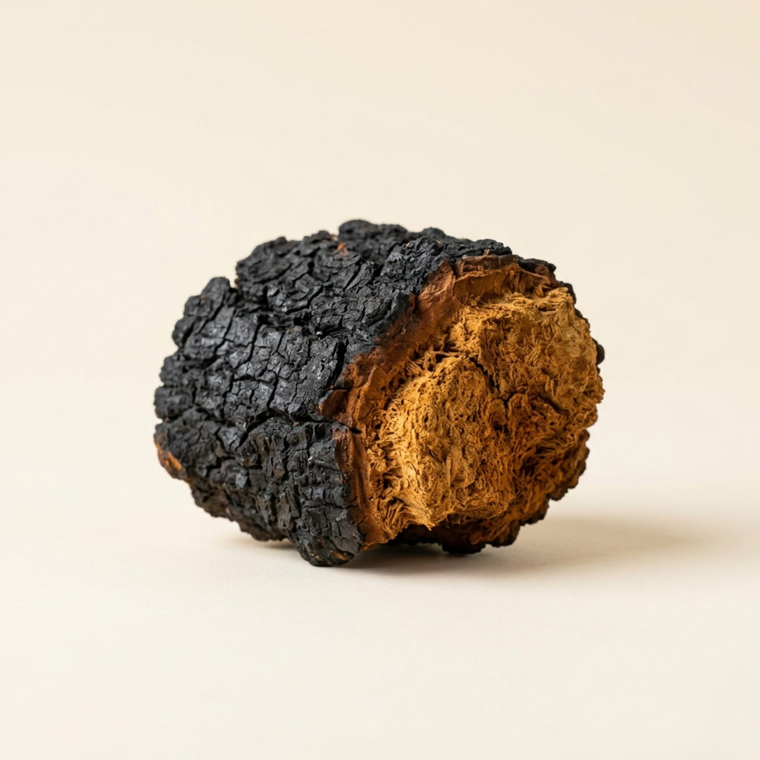 Chaga